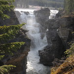 picture$jasper_athabasca