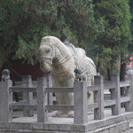 picture$luoyang_white_horse