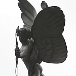 On wings of a Cupid